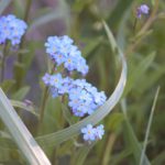 DSC_0018-150x150