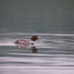 Picture14
